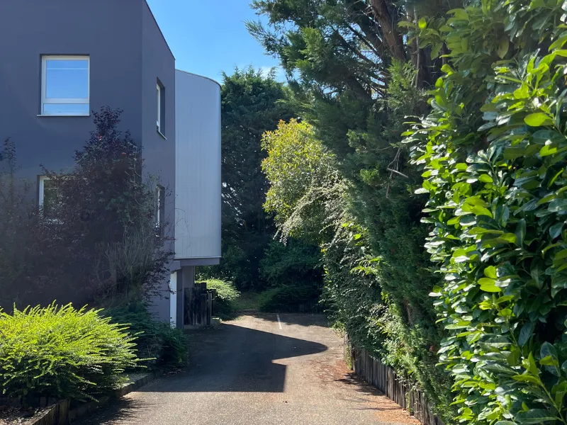 Allée d'accès au centre d'affaires, un environnement calme et bordé de verdure.