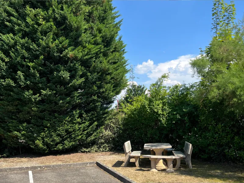 Espace de détente extérieur aménagé avec une table et des bancs en pierre au milieu des arbres.