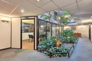 Patio intérieur au RDC du 75 - Photo 2