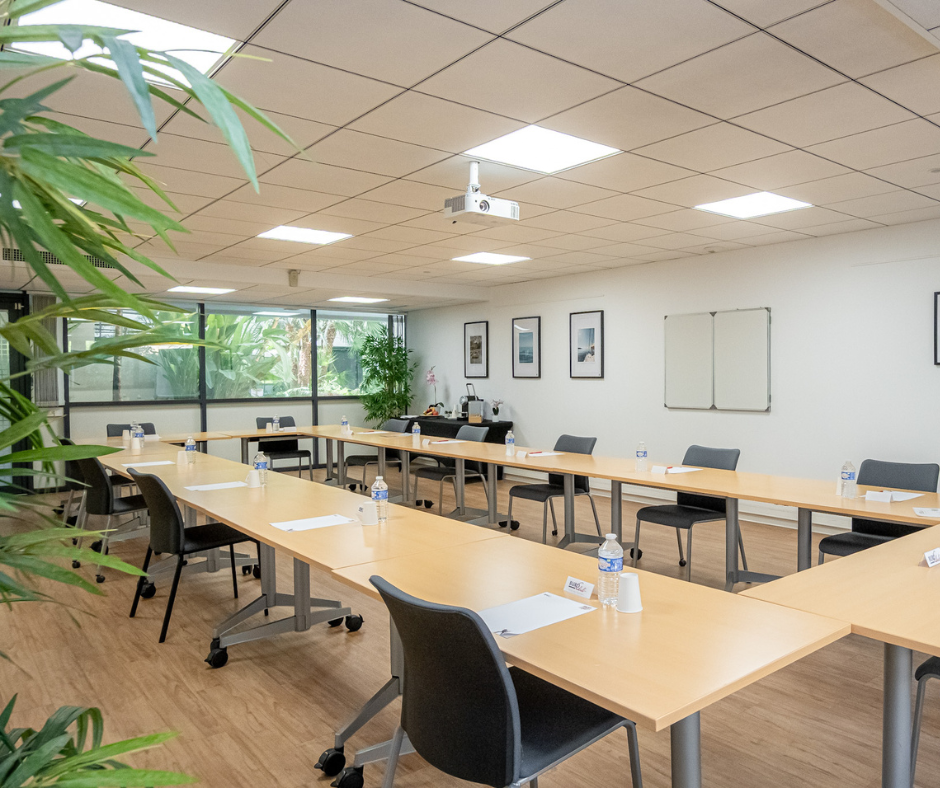 Meeting Room Sophia-Antipolis