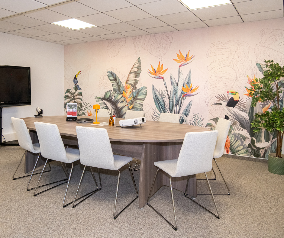 Meeting Room Sophia-Antipolis