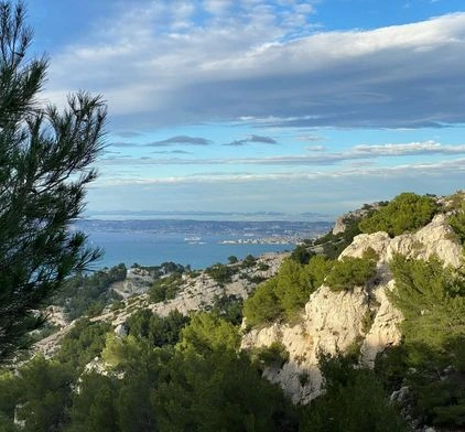Calanque sauvage à proximité de marseille avec vue sur la mer