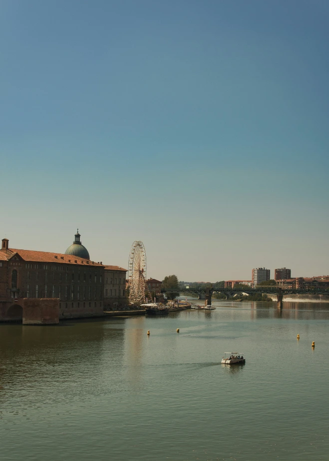 View of the Dôme de la Grave and Pont Saint-Pierre in Toulouse through golden autumn leaves.