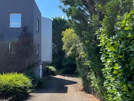 Allée d'accès au centre d'affaires, un environnement calme et bordé de verdure.