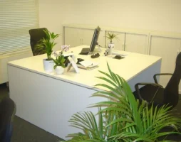 Bureau Strasbourg Mundolsheim