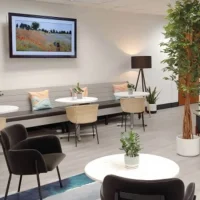 Domiciliation d'entreprise Marin Larkspur