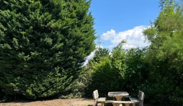 Espace de détente extérieur aménagé avec une table et des bancs en pierre au milieu des arbres.
