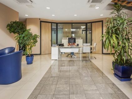 Domiciliation d'entreprise Reims