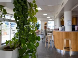 Bar et plantes vertes - BURO Club Issy les Moulineaux