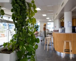 Bar et plantes vertes - BURO Club Issy les Moulineaux