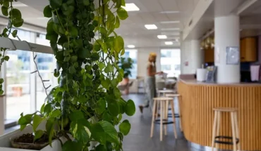 Bar et plantes vertes - BURO Club Issy les Moulineaux