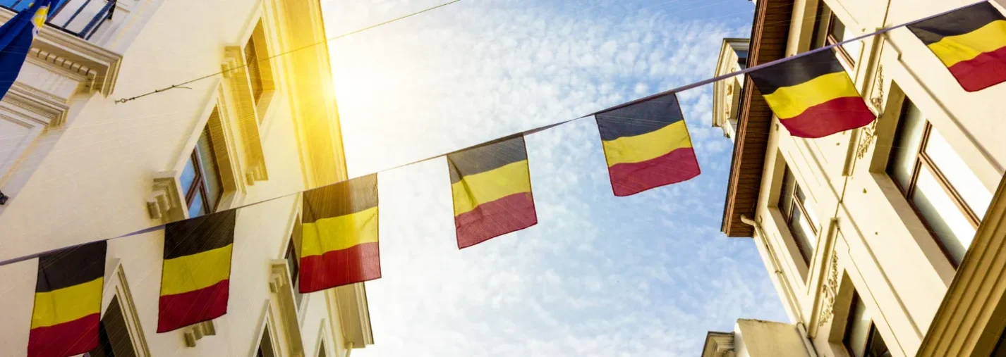 Drapeaux belges suspendus entre des bâtiments traditionnels, illustrant l'environnement économique de la Belgique