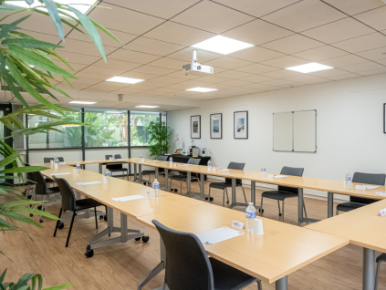 Meeting Room Sophia-Antipolis