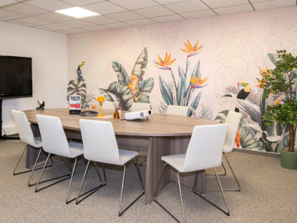 Meeting Room Sophia-Antipolis