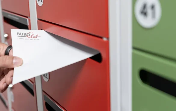 Visuel mise en avant article - Site web_1_11zon