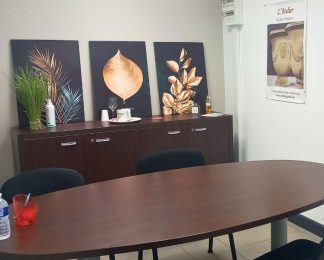 Location de salle de réunion Nîmes Caissargues