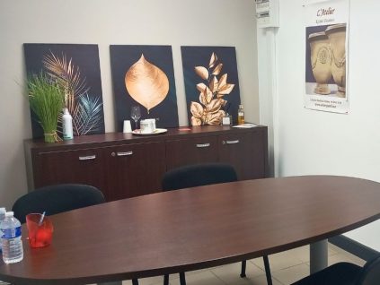 Location de salle de réunion Nîmes Caissargues