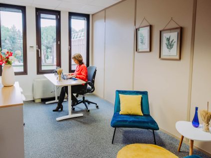 Location bureau Labège
